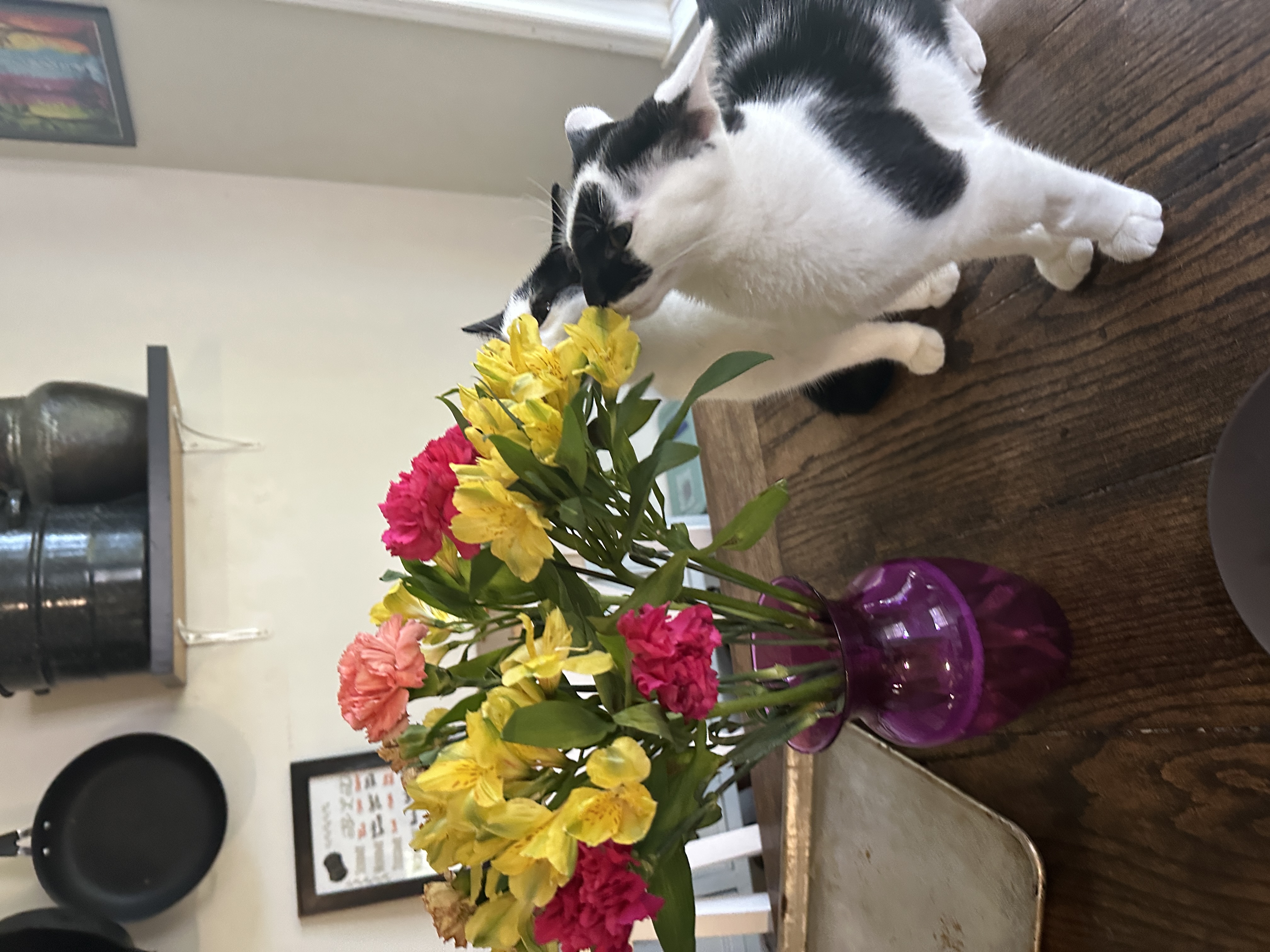 Easter
